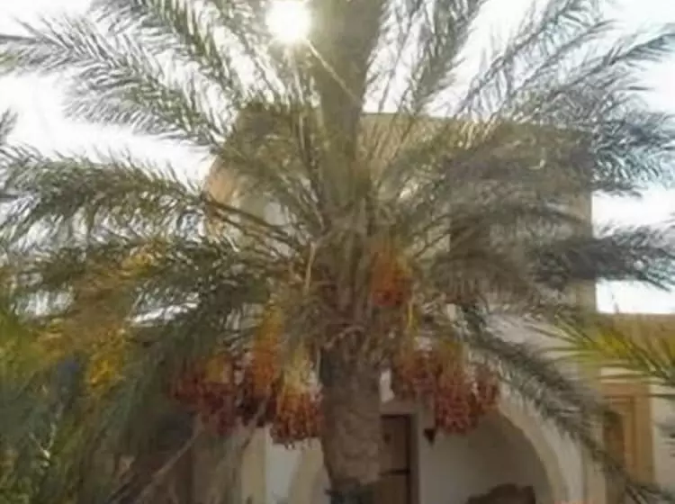 بنسيون Dar Zargouni