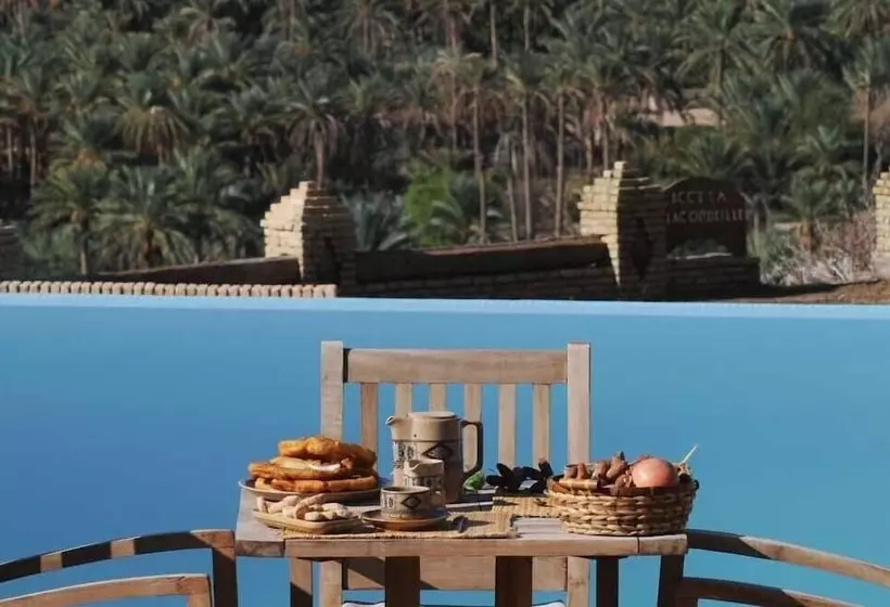 بنسيون Dar Zargouni