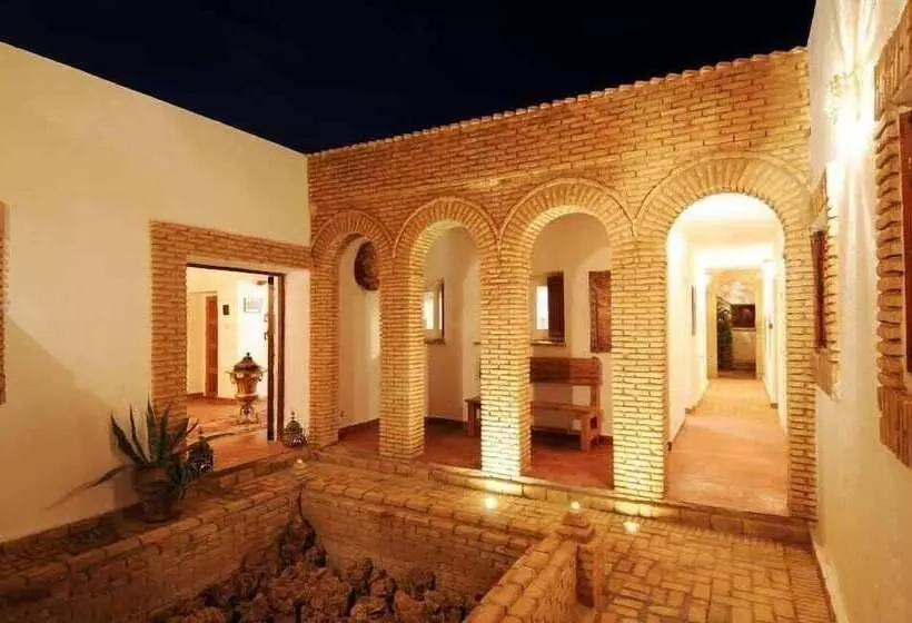 بنسيون Dar Zargouni