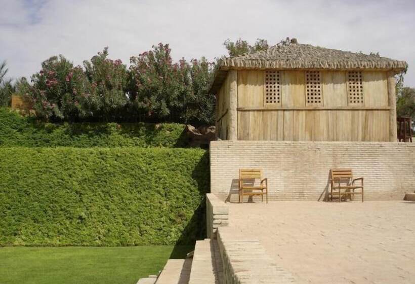 بنسيون Dar Zargouni