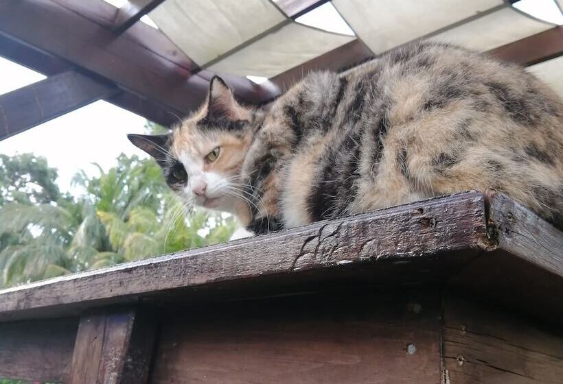 پانسیون Guava Grove Resort & Villas