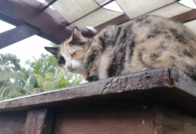 پانسیون Guava Grove Resort & Villas