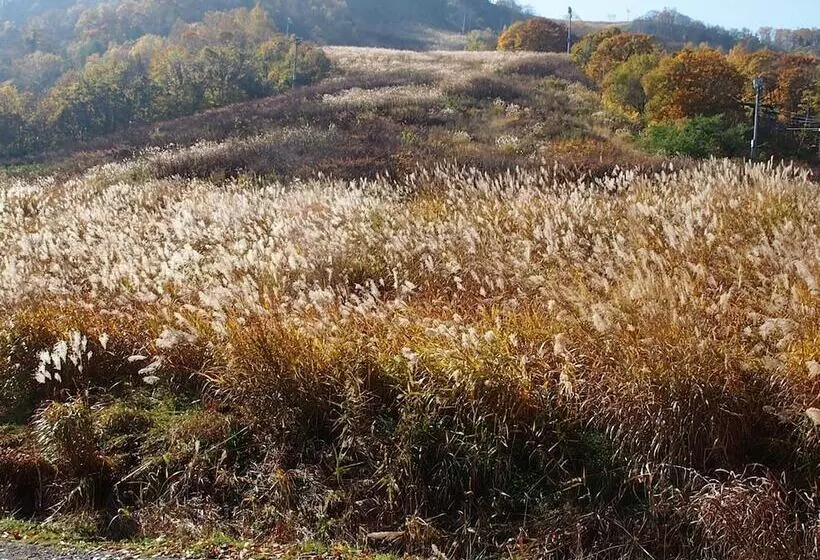펜션 Otaru Tenguyama