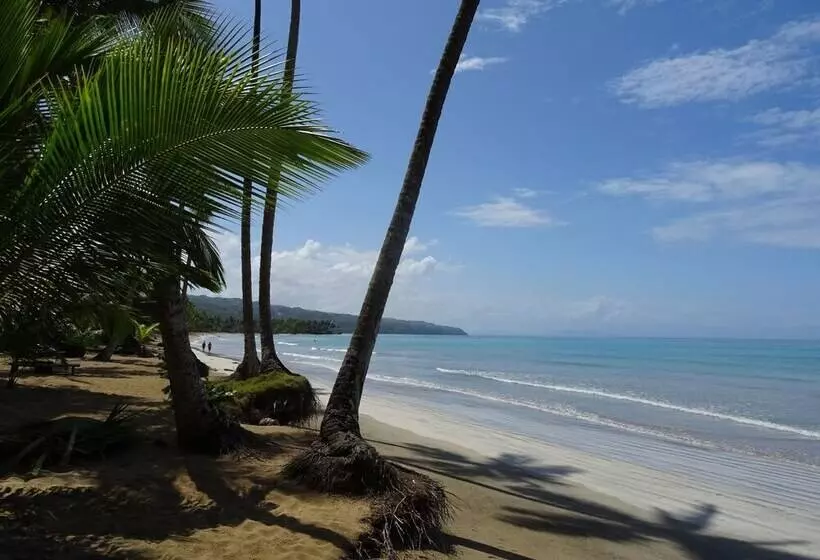 استراحتگاه Coson Bay