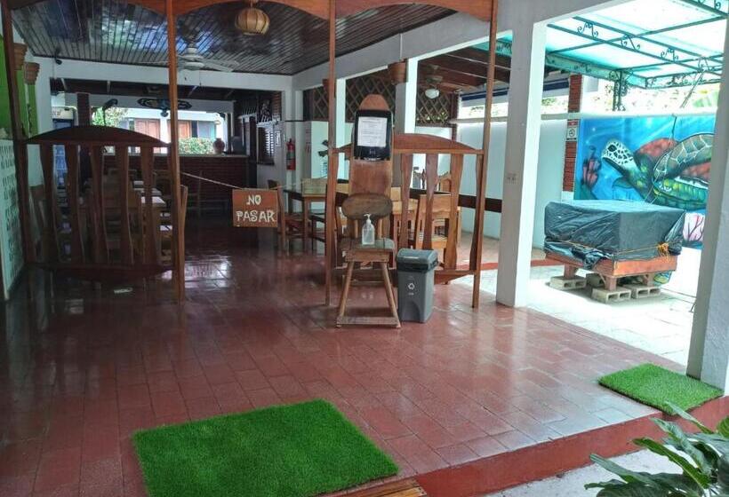 הוסטל Casa Del Mar