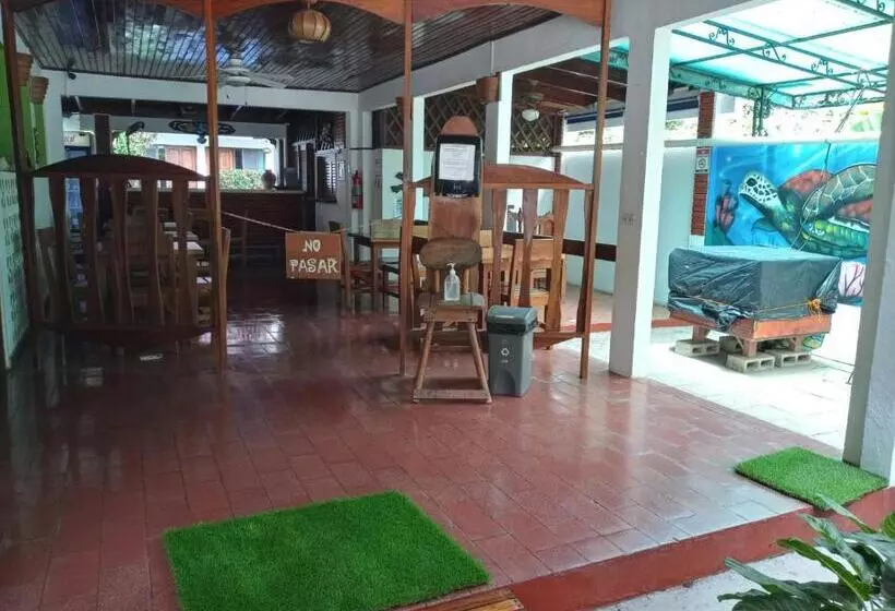 ユースホステル Casa Del Mar