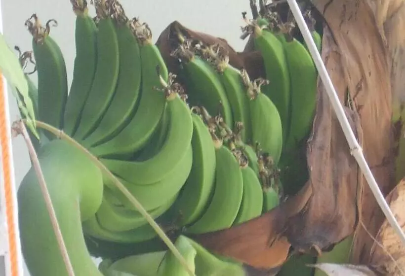 ユースホステル Casa Del Mar