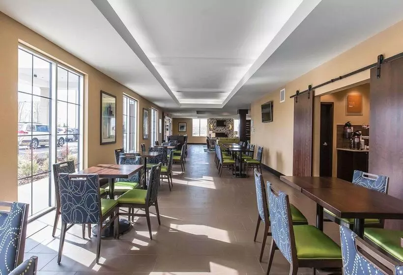 هتل Comfort Inn & Suites Airport North