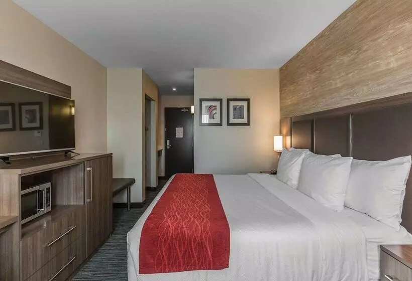 هتل Comfort Inn & Suites Airport North