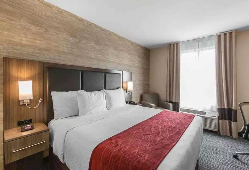 هتل Comfort Inn & Suites Airport North