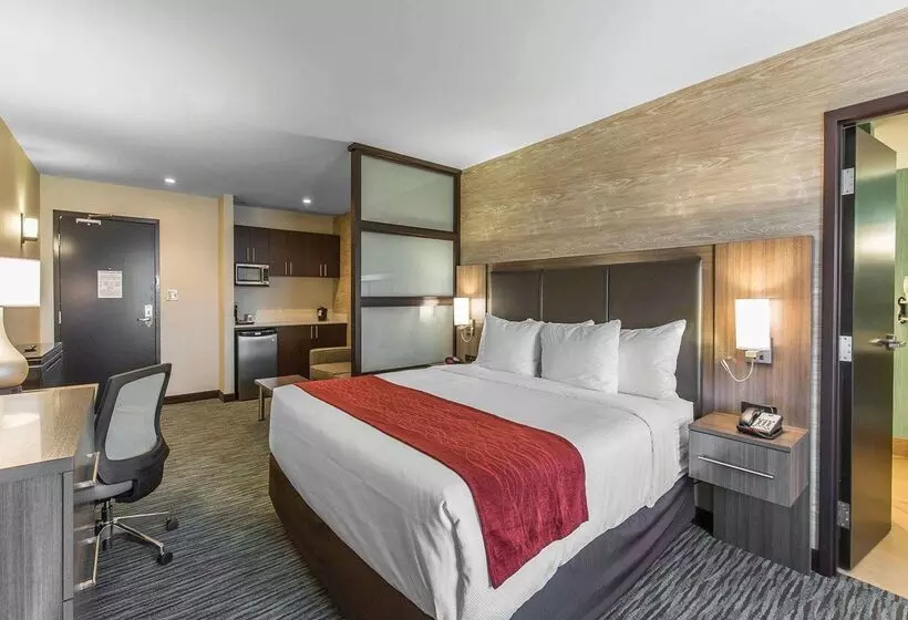 هتل Comfort Inn & Suites Airport North