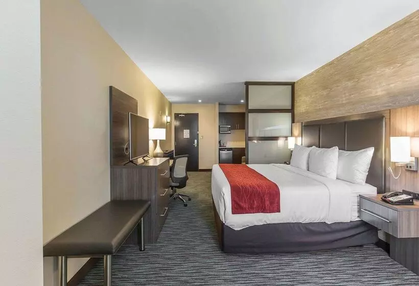 هتل Comfort Inn & Suites Airport North