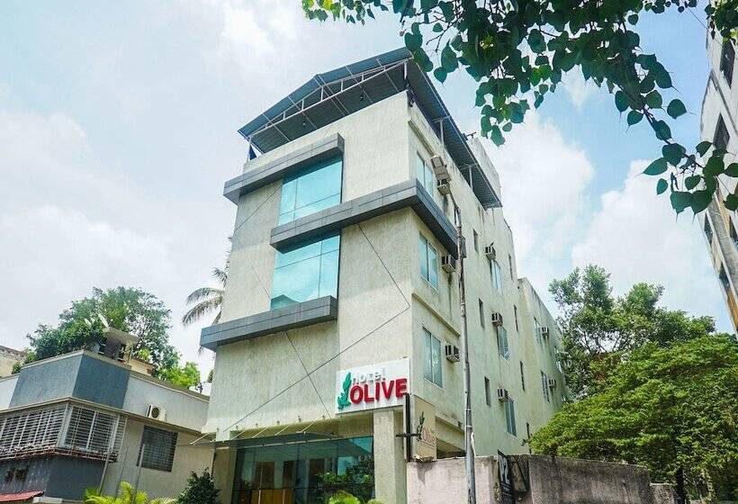 בית מלון כפרי Olive