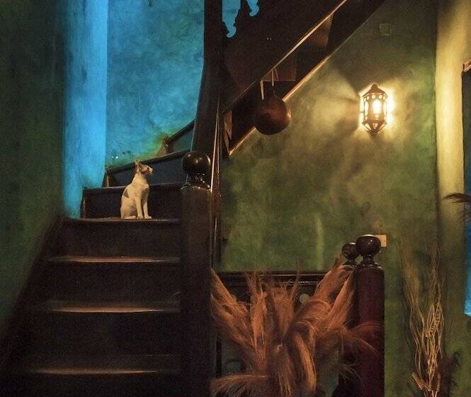 酒店 Shaba Boutique