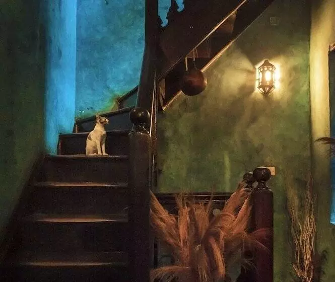 هتل Shaba Boutique