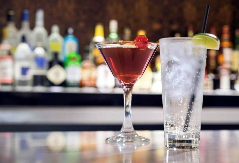 酒店 Springhill Suites By Marriott Los Angeles Burbank/downtown