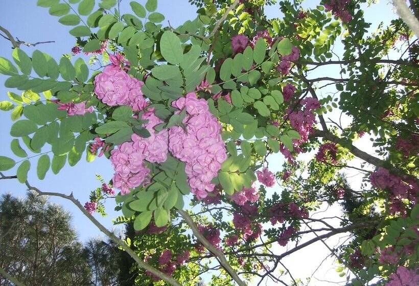 Отель Tenuta Le Colonie