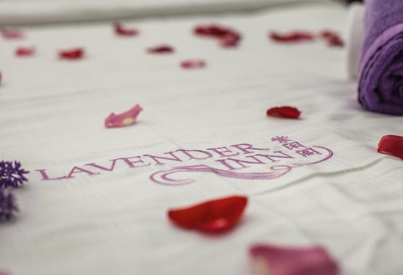 בית מלון כפרי Lavender Inn Nusa Bestari