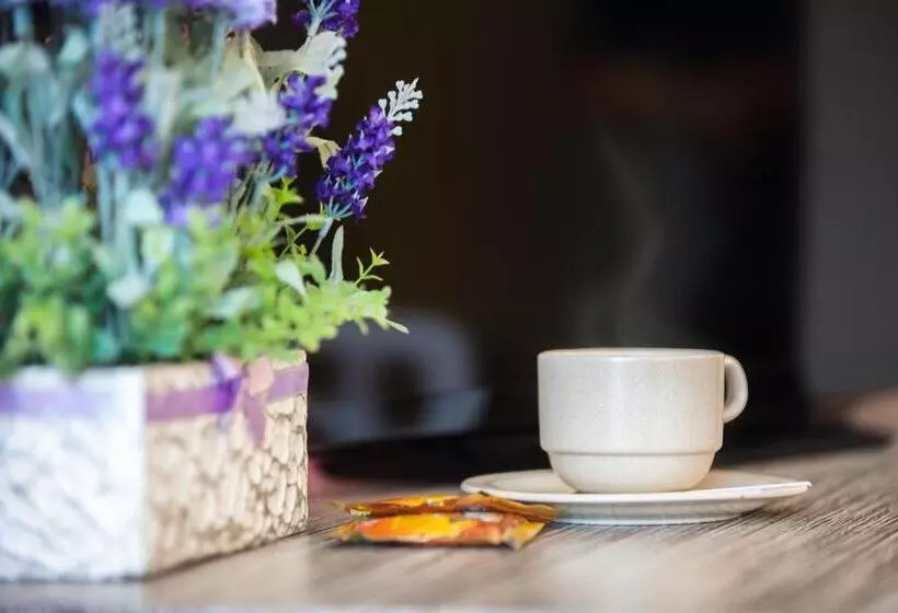 هتل Lavender Inn Nusa Bestari