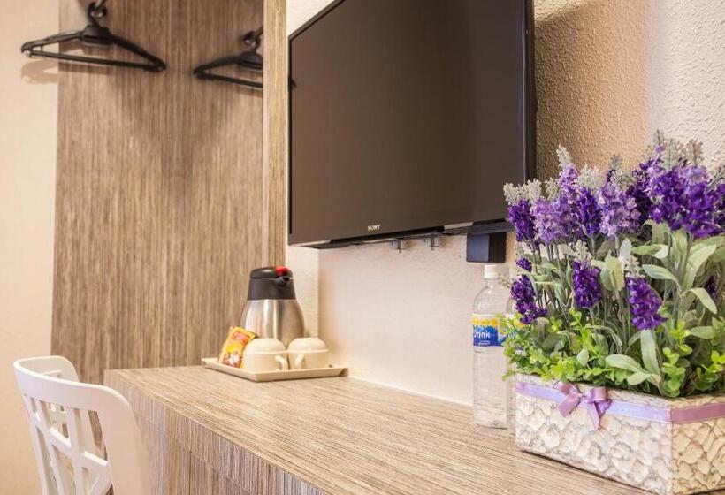 בית מלון כפרי Lavender Inn Nusa Bestari