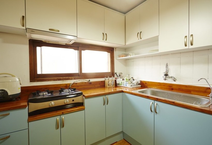 Owl Guesthouse  Hostel