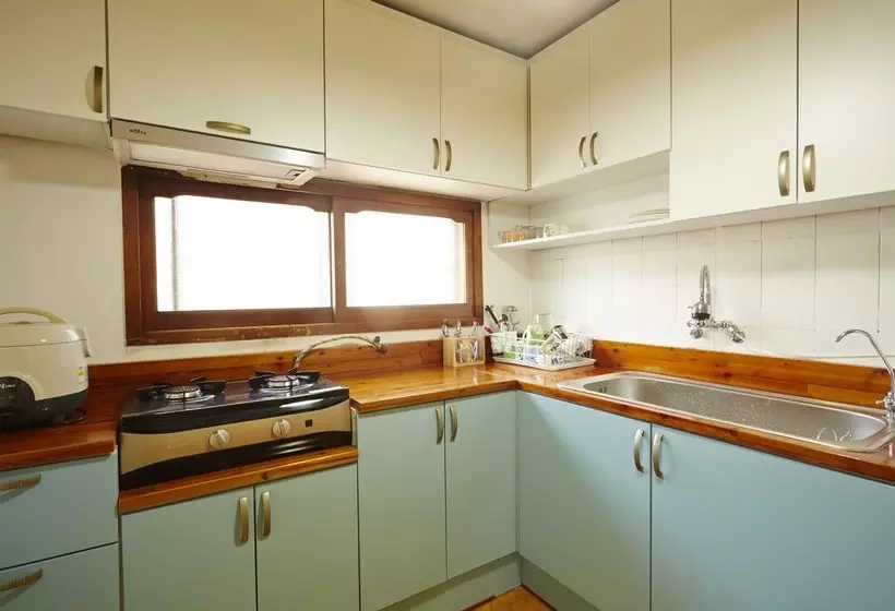 Owl Guesthouse  Hostel