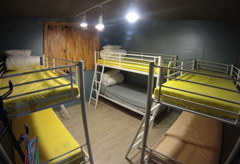 Owl Guesthouse  Hostel