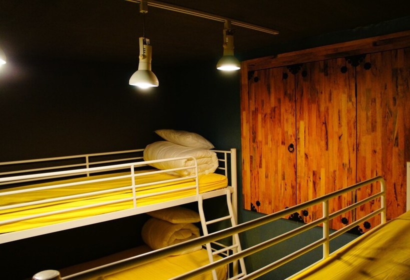 Owl Guesthouse  Hostel