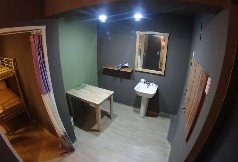 Owl Guesthouse  Hostel