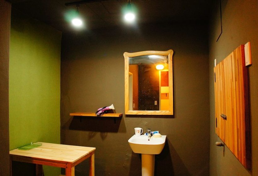 Owl Guesthouse  Hostel