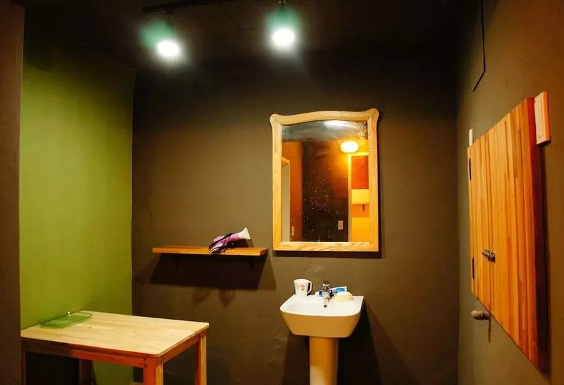 Owl Guesthouse  Hostel