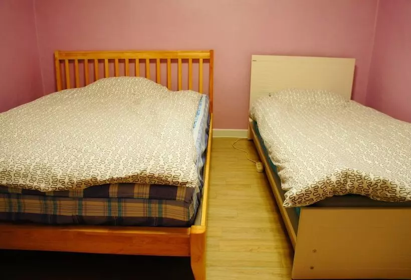 Owl Guesthouse  Hostel