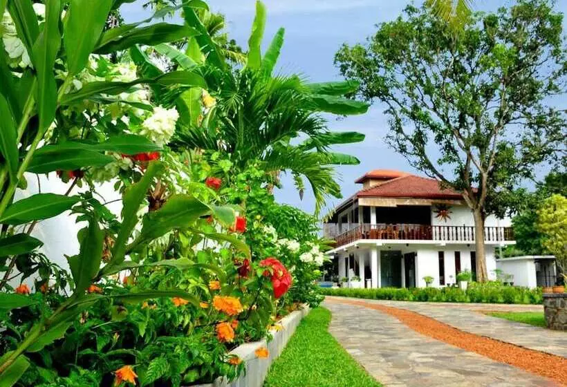 Rockery Villa Ayurveda