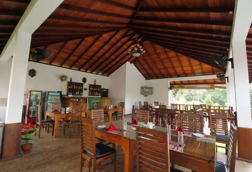 Rockery Villa Ayurveda