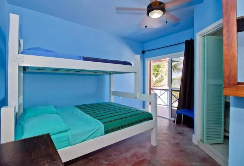 Sandbar Beachfront Hostel & Restaurant