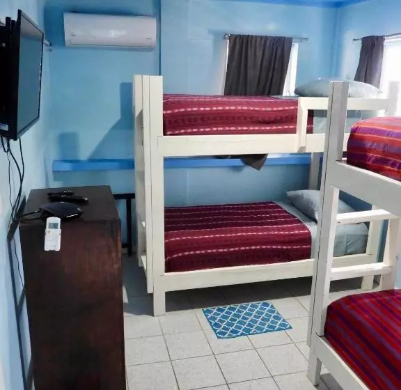 Sandbar Beachfront Hostel & Restaurant