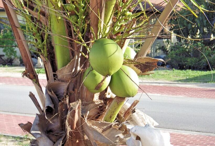 Aruba Cunucu Residence