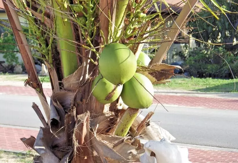 Aruba Cunucu Residence