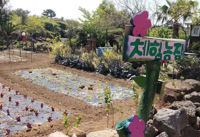 تختخواب و صبحانه Lapaloma Pension