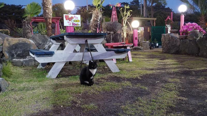 تختخواب و صبحانه Lapaloma Pension