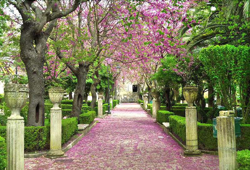 فندق Giumbabulla Luxury House