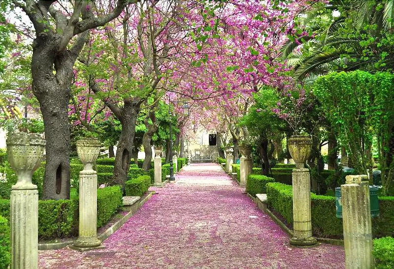 호텔 Giumbabulla Luxury House