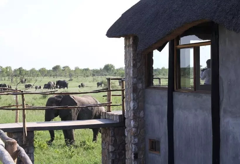 هتل Gwango Elephant Lodge