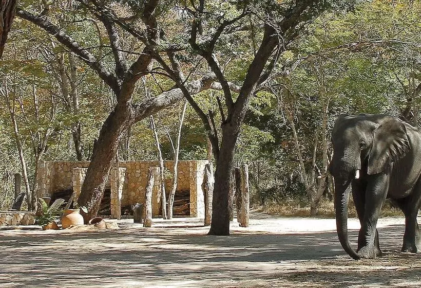 هتل Gwango Elephant Lodge