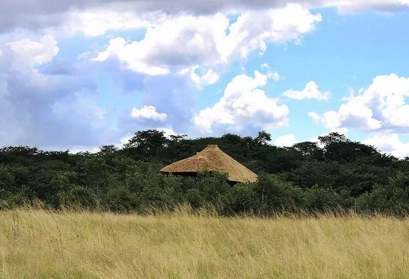 هتل Gwango Elephant Lodge