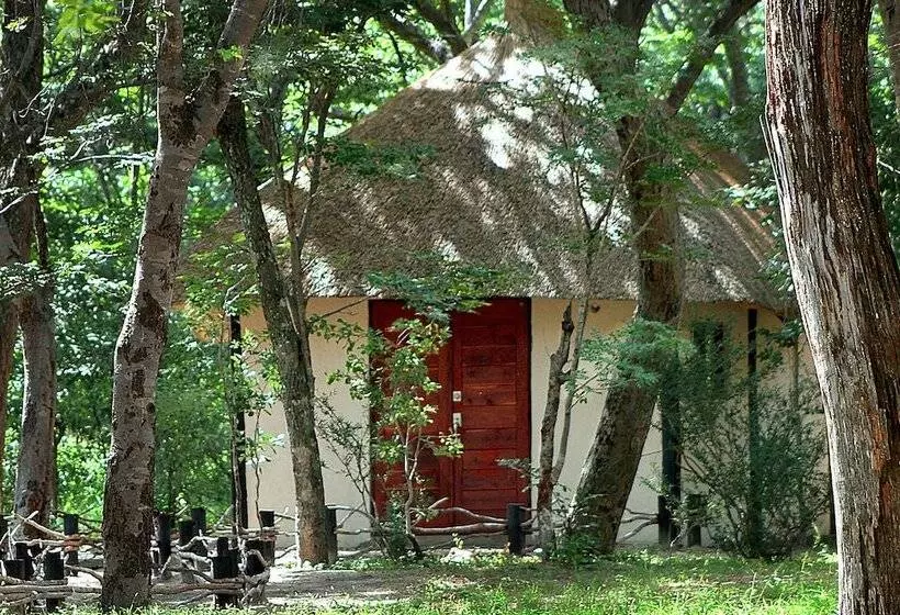 هتل Gwango Elephant Lodge