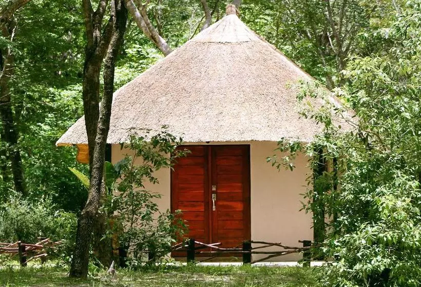 هتل Gwango Elephant Lodge