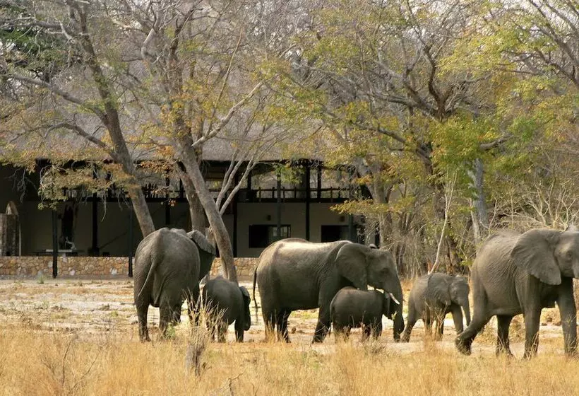 هتل Gwango Elephant Lodge