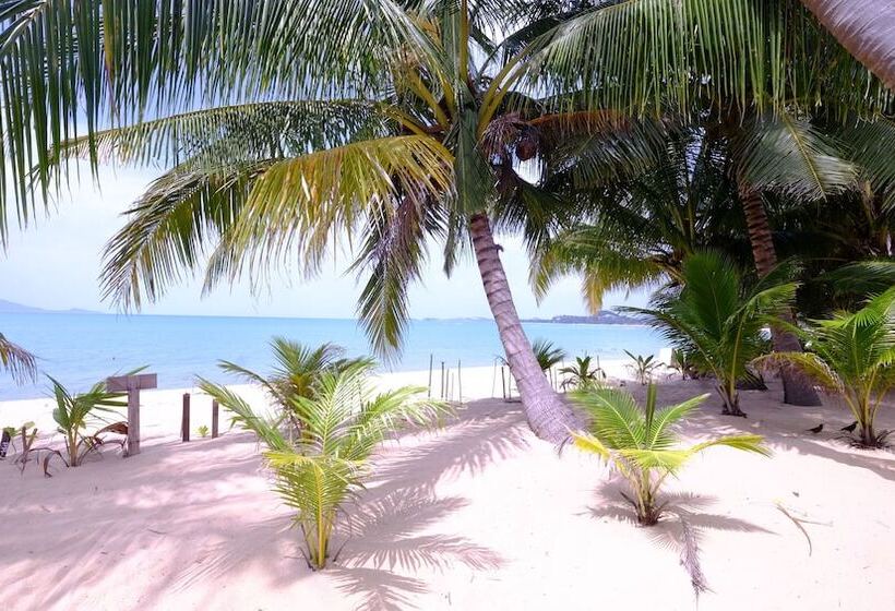 هتل Lolita Bungalow