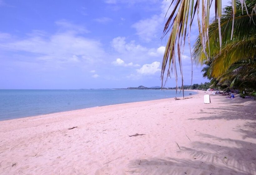 هتل Lolita Bungalow